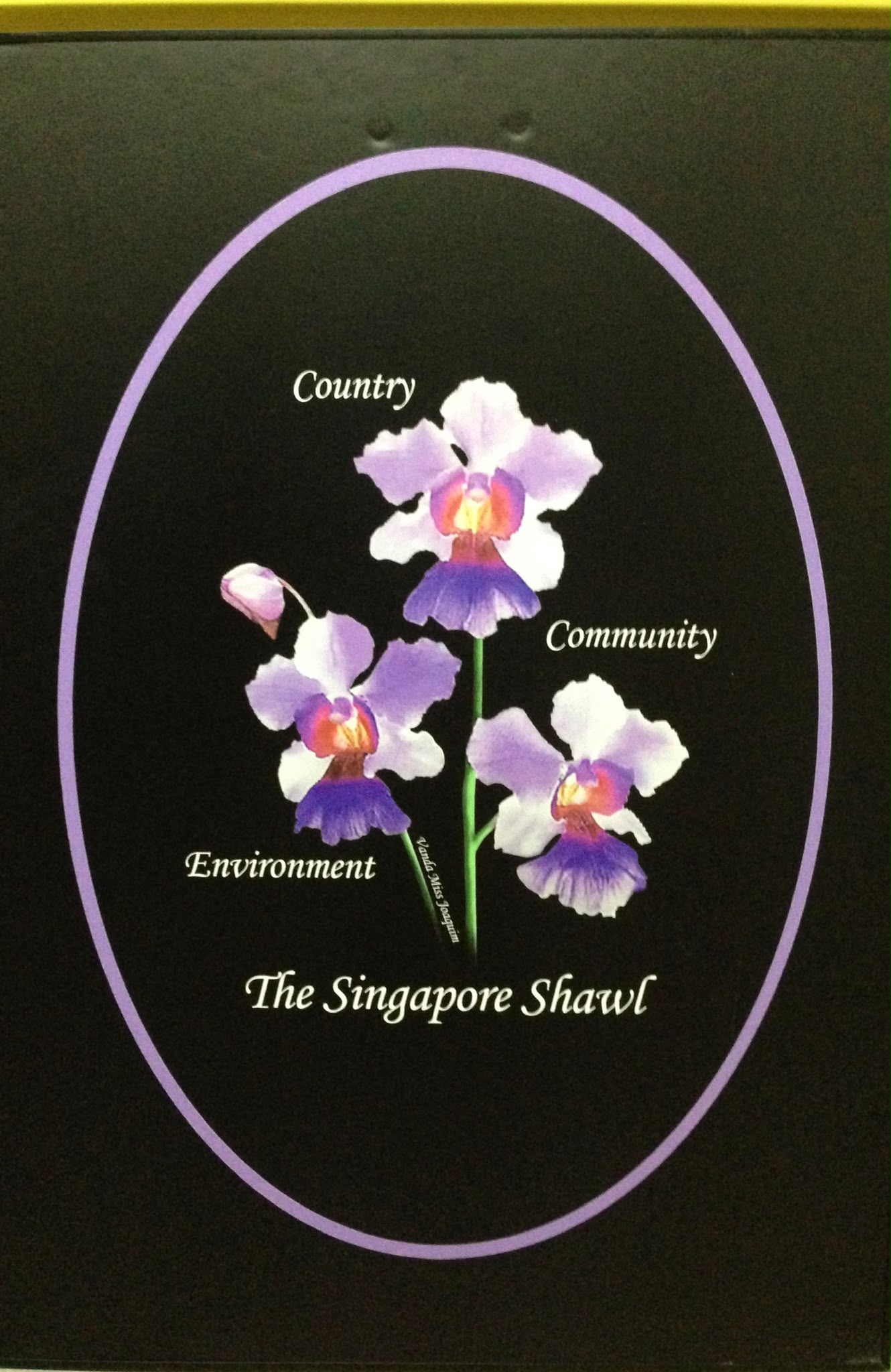 Country, Community, Environment - The Singapore Shawl